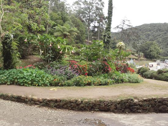 Hakgala Botanic Gardens